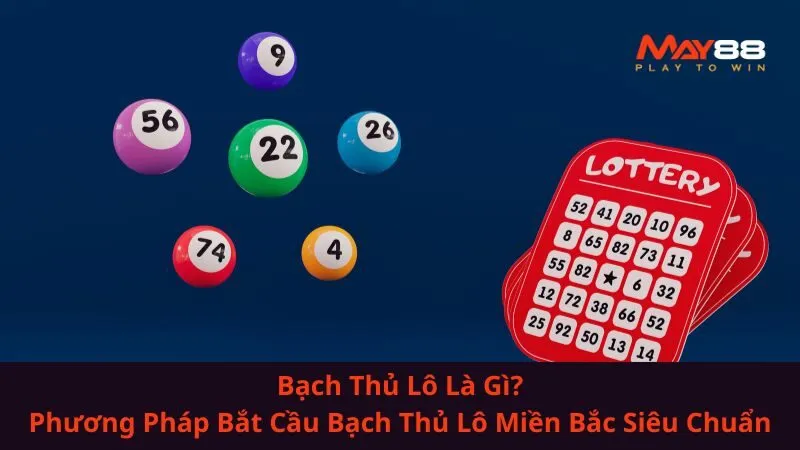 Bạch Thủ Lô Là Gì? Phương Pháp Bắt Cầu Bạch Thủ Lô Miền Bắc Siêu Chuẩn